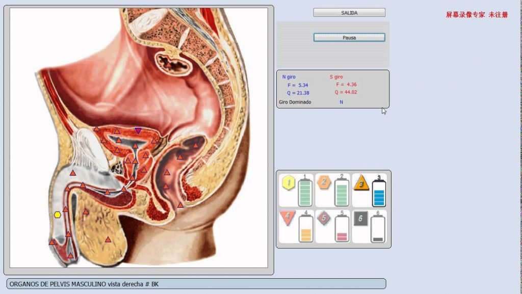 bioescaner molecular 8d