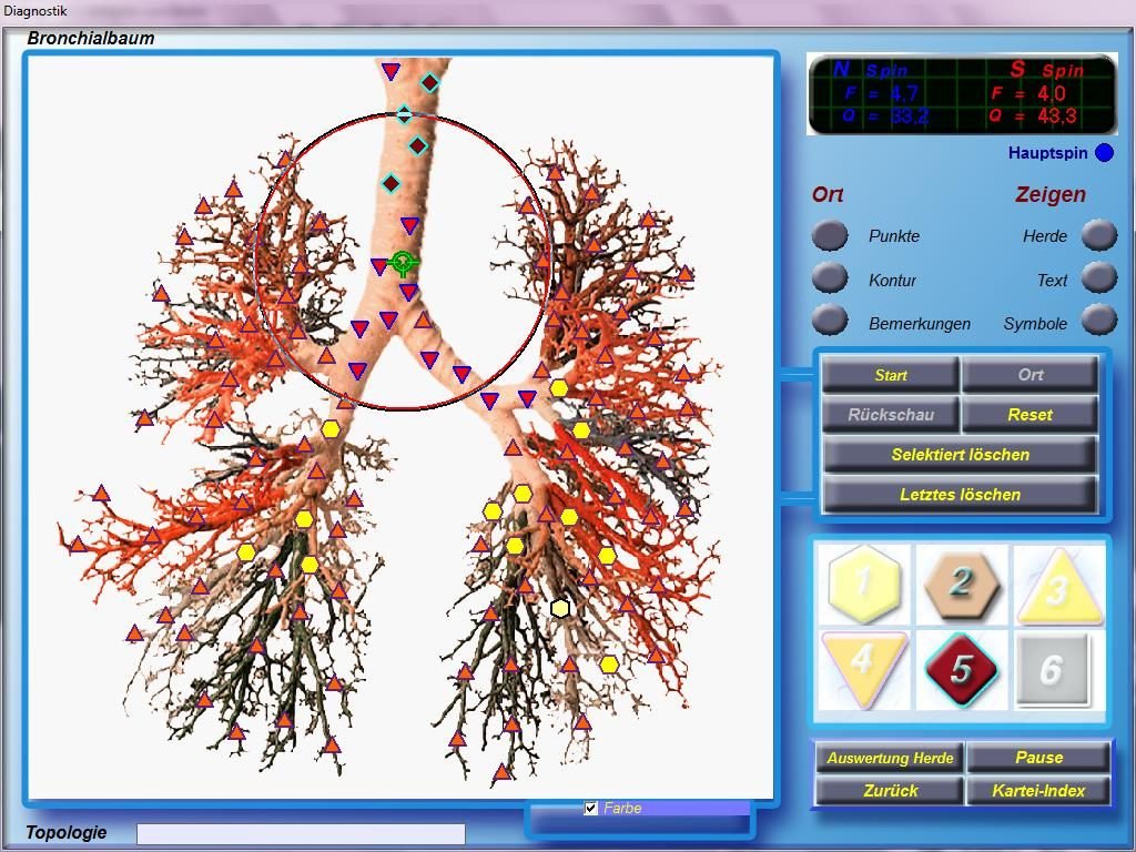 8d nls health analyzer