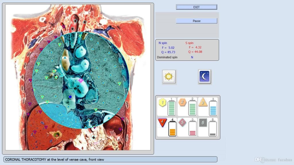 8d lris nls quantum health analyzer machine bioresonance body scanner
