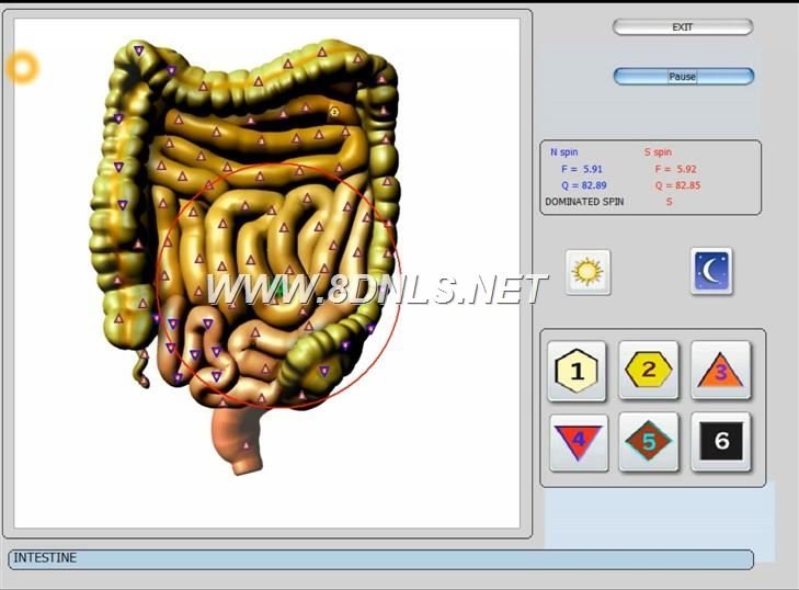 8d-nls professional frequency analysis