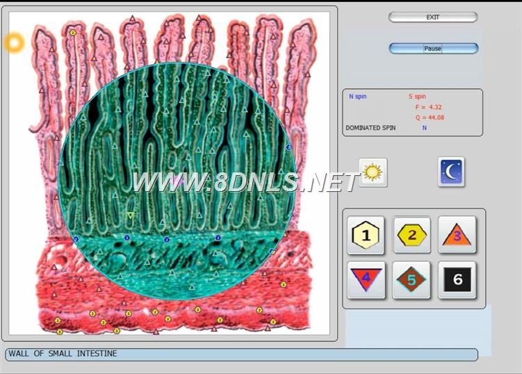 8d lris software download free 2019