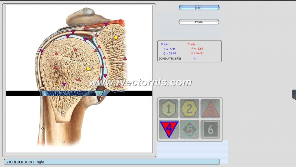 9d nls health analyzer