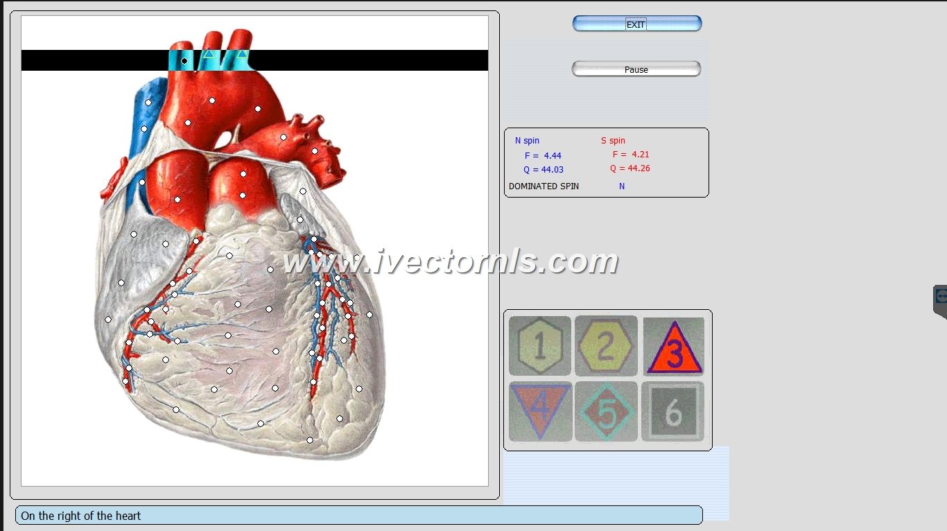 9d nls health analyzer
