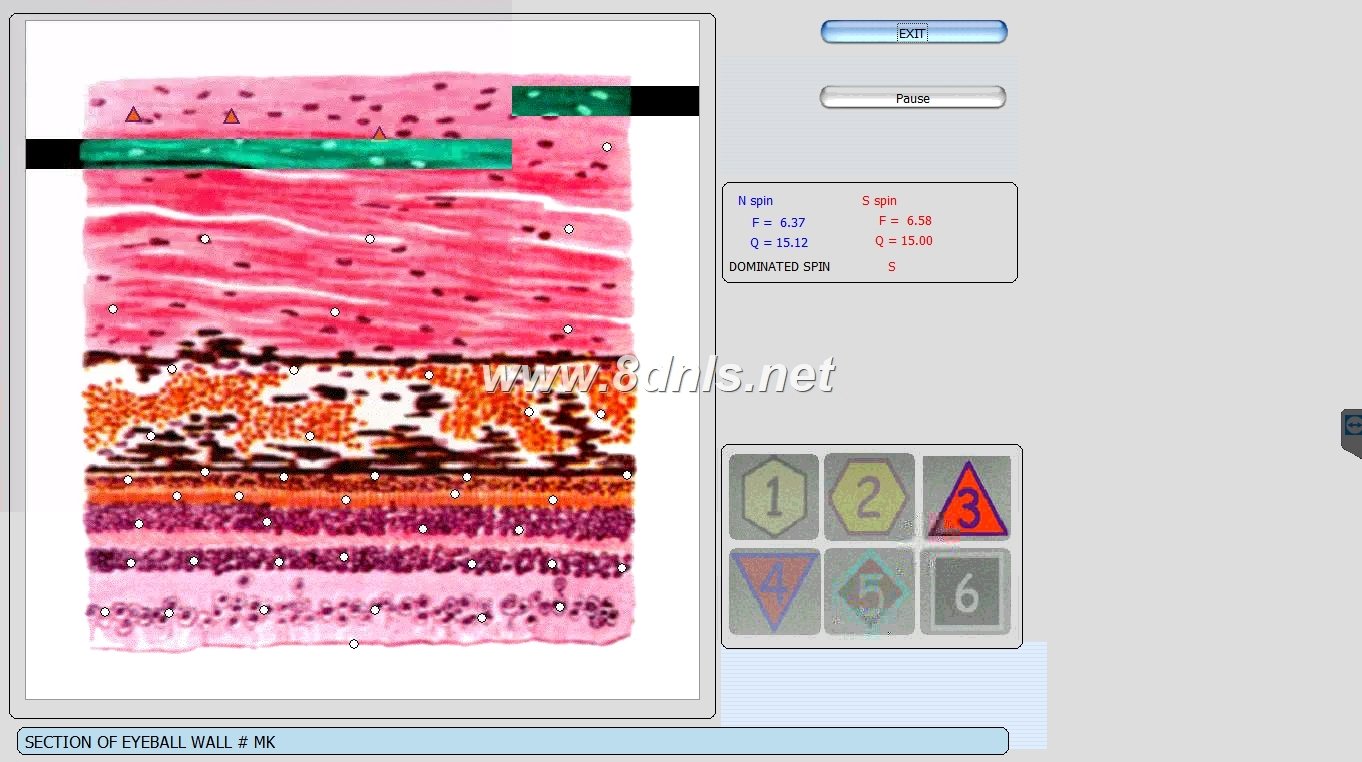 9d nls non-lined diagnostic system