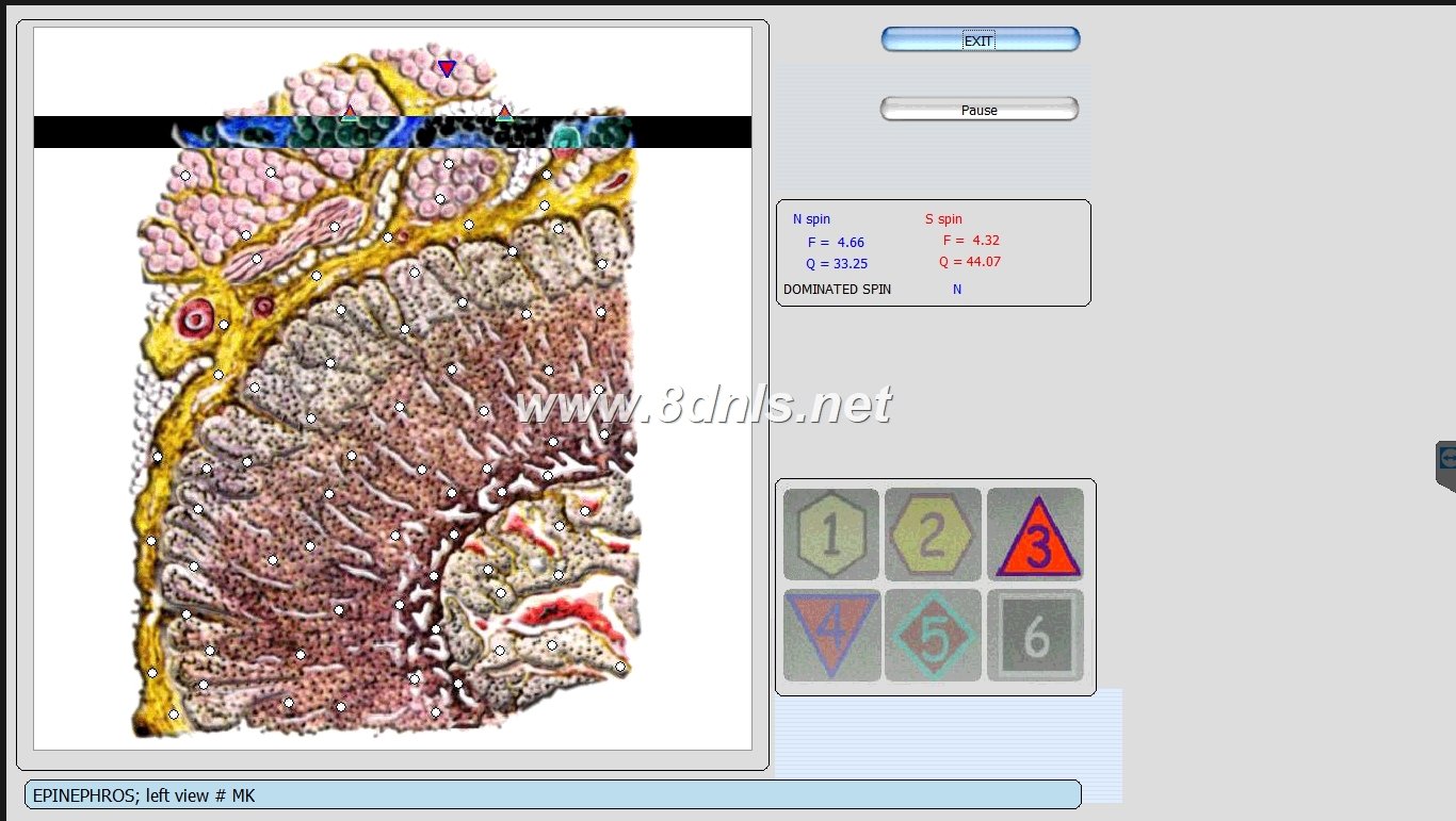 Oberon nls Analyse Erfahrungen