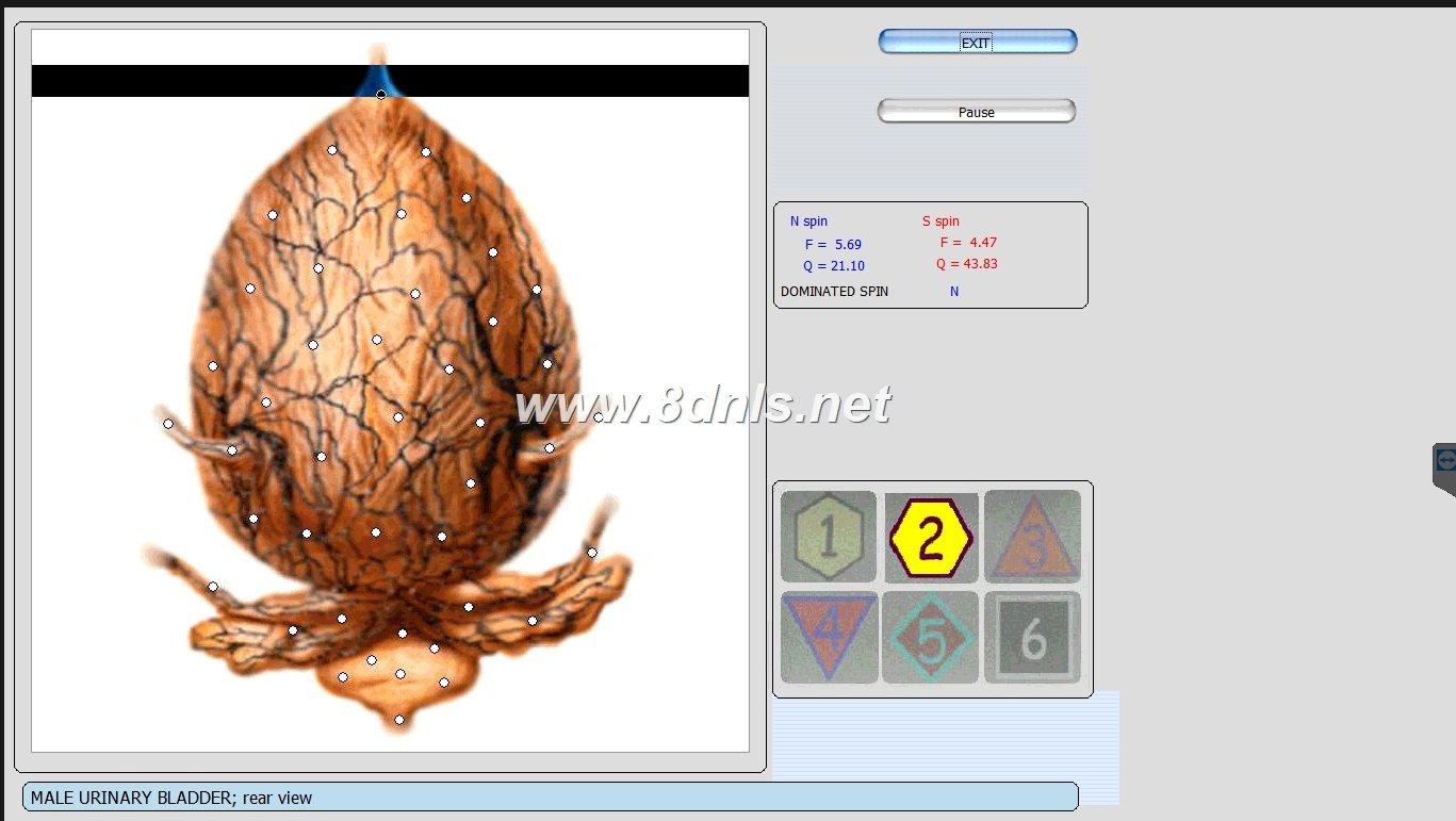 Oberon nls Analyse Erfahrungen