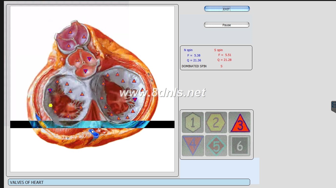 8-Dimensional Quantum Diagnosis and Therapy System