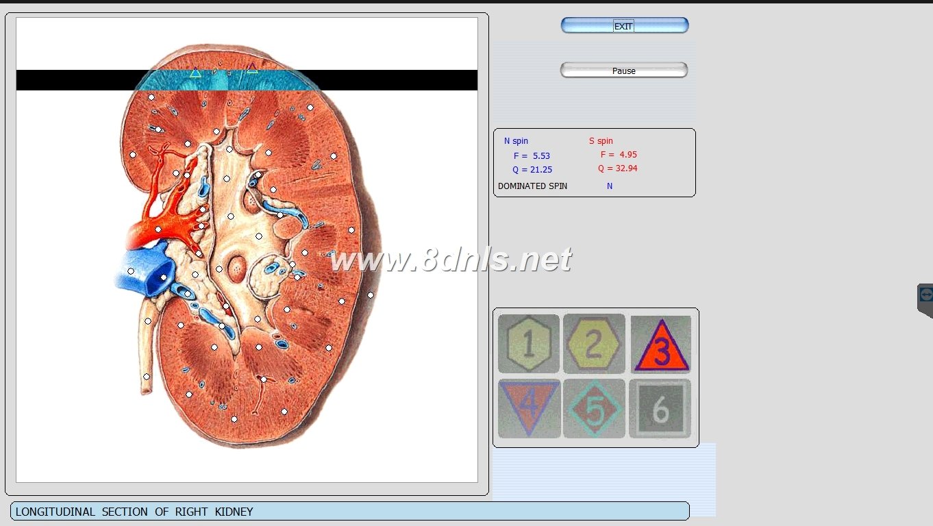 Diacom 3D NLS Software