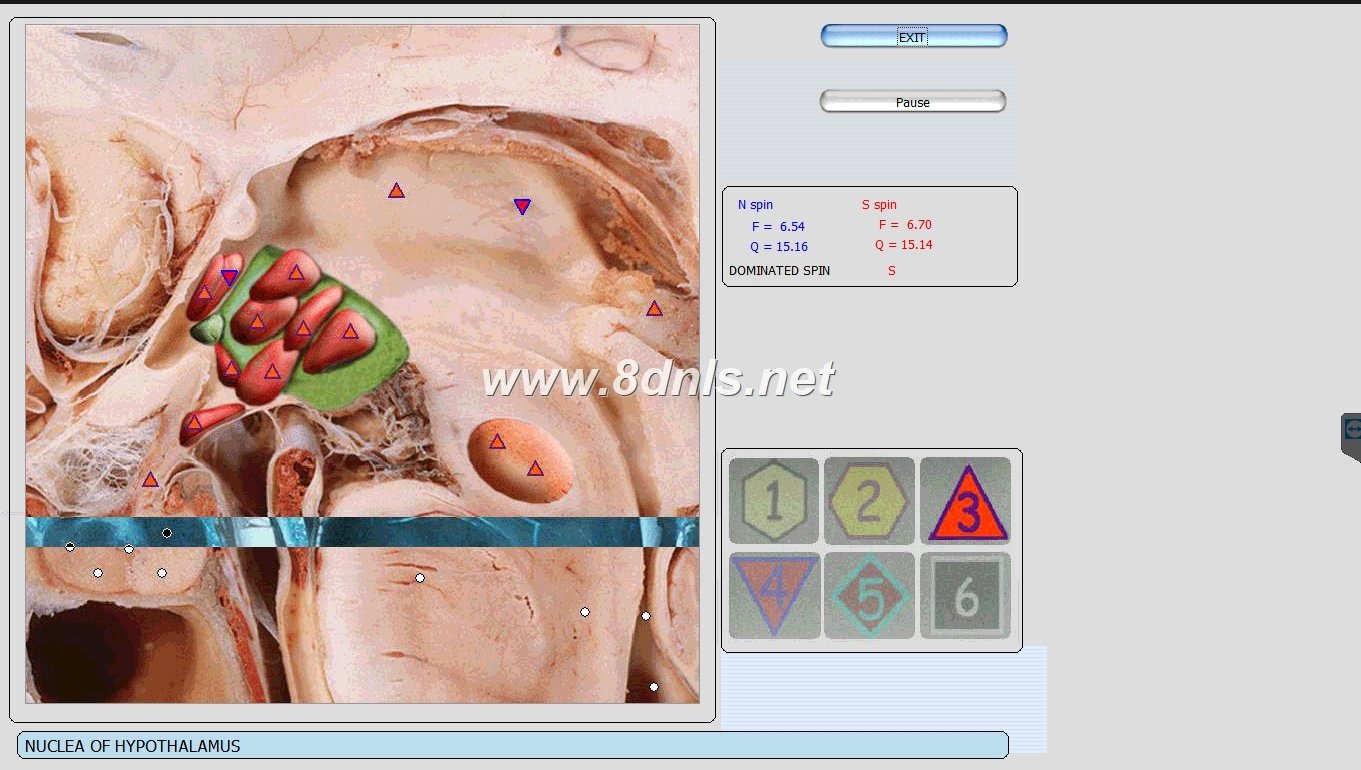 Diacom 3D NLS Software