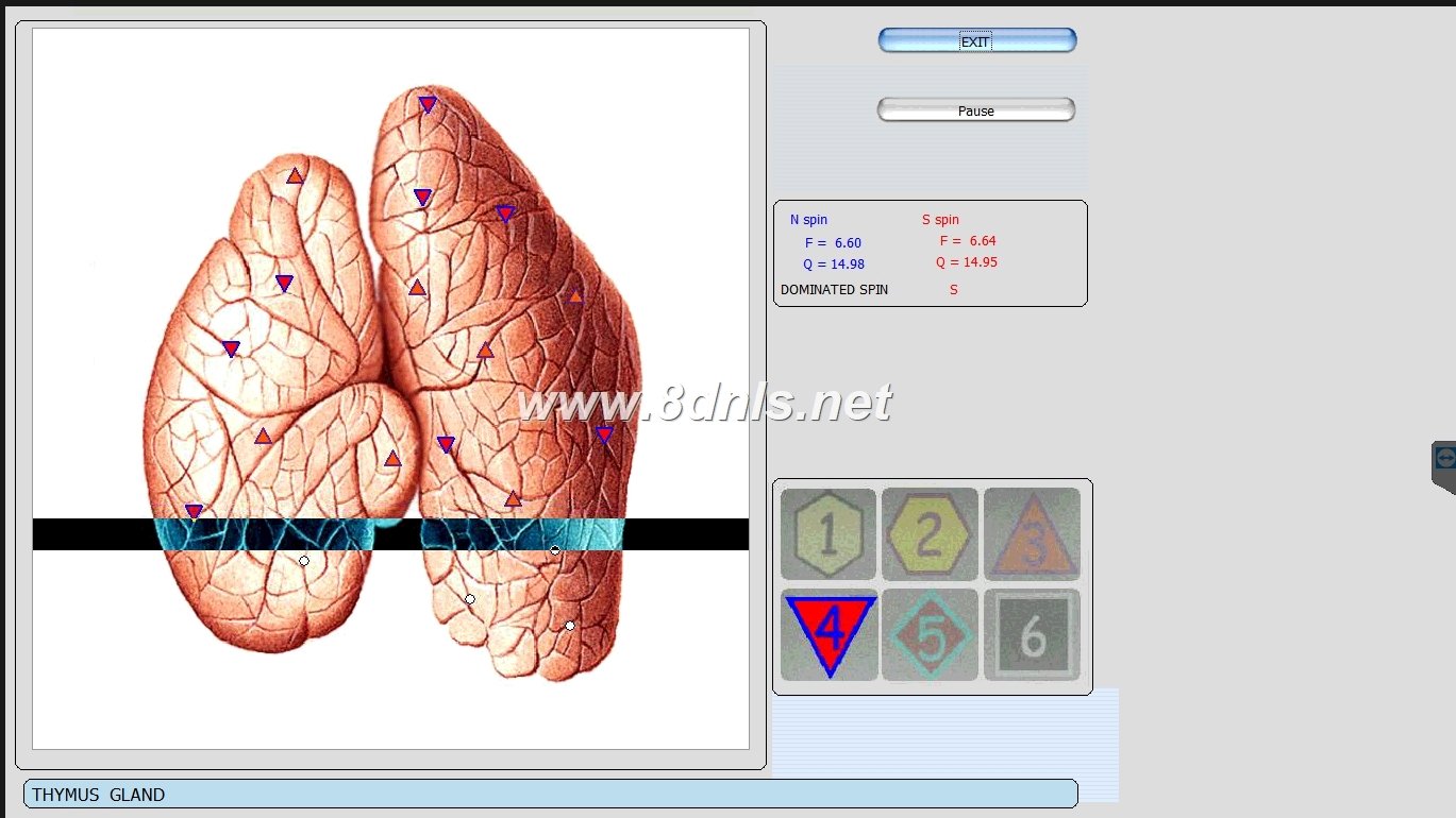 Diacom 3D NLS Software