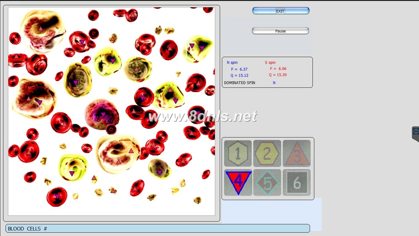 Diacom 3D NLS Software