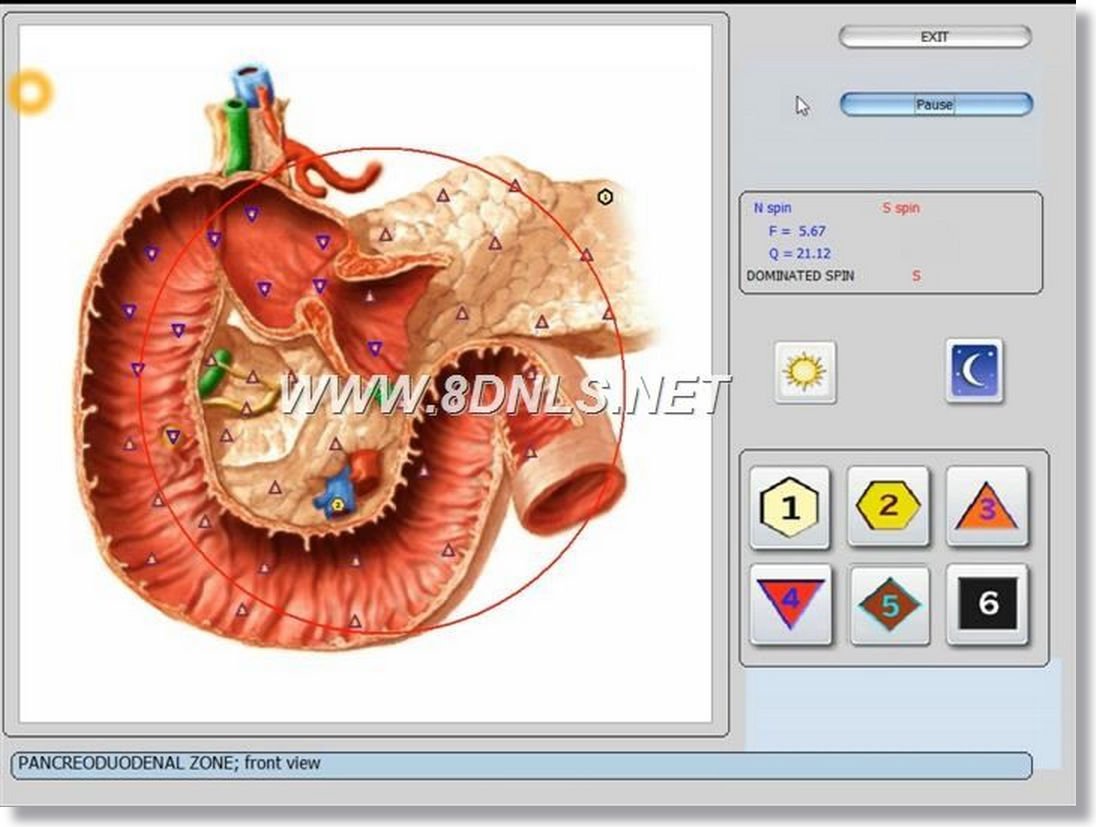 bioplasm-nls use manual