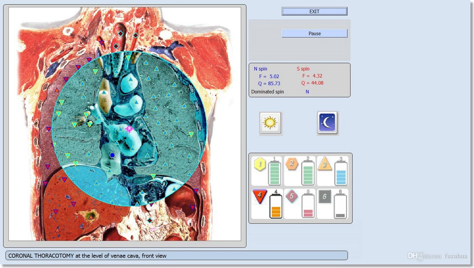NLS Health Analyzer