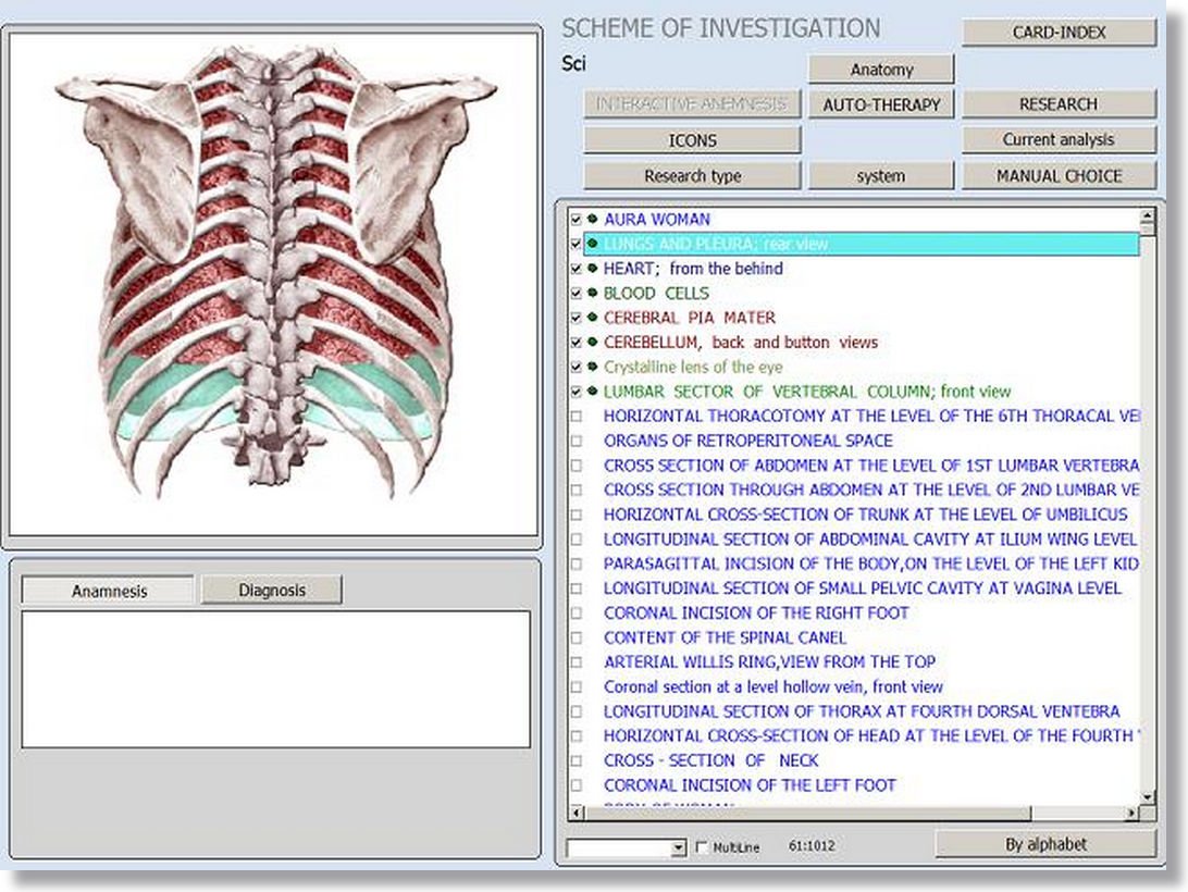 NLS Health Analyzer