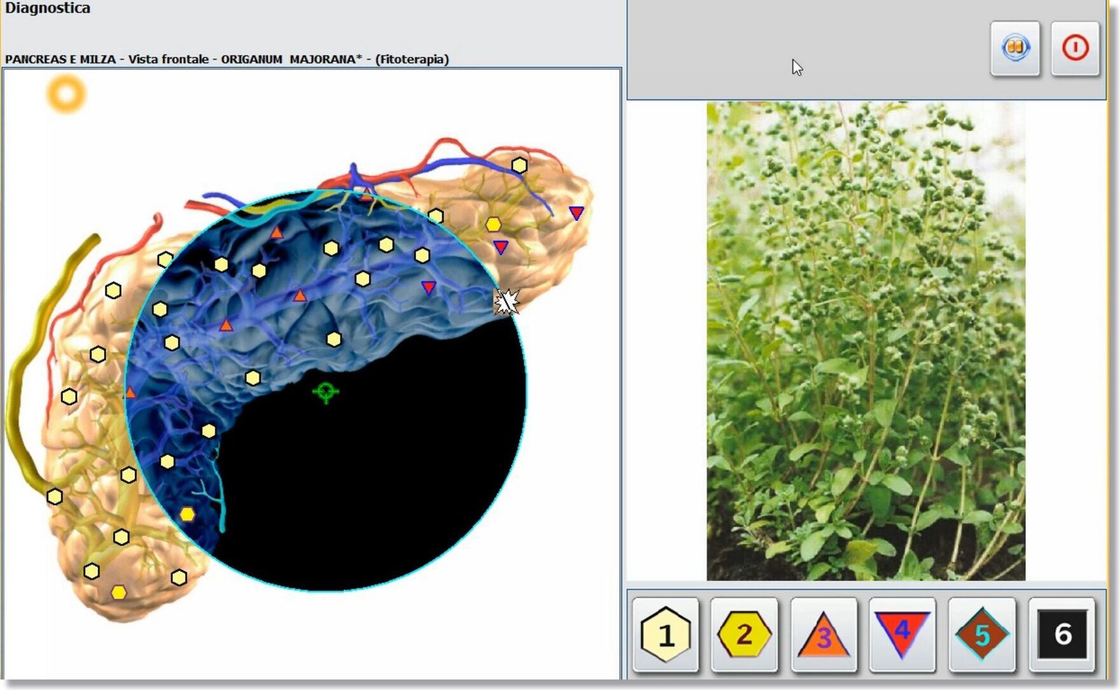 3D NLS Diagnostics
